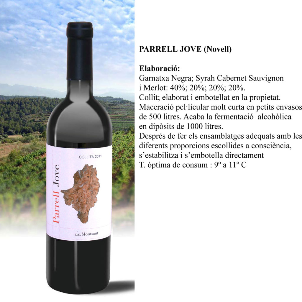 elaboracio-p-jove-web